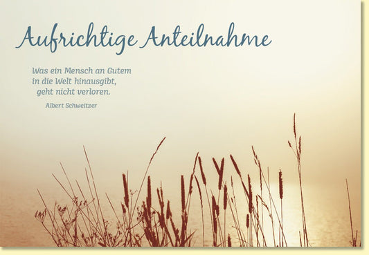 Trauerkarte mit Spruch Aufrichtige Anteilnahme zartes Naturmotiv Gräser am See stilvolle Beileidskarte Albert Schweitzer Zitat