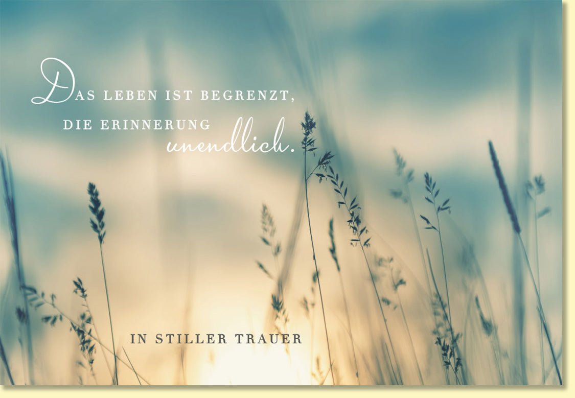 Trauerkarte mit Spruch Das Leben ist begrenzt die Erinnerung unendlich zarte Gräser sanfte Farben stilvolle Beileidskarte