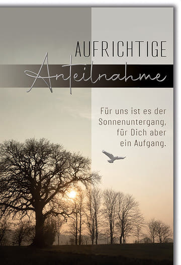 Trauerkarte Natur – Sonnenuntergang mit Baum und fliegender Taube im sanften Licht