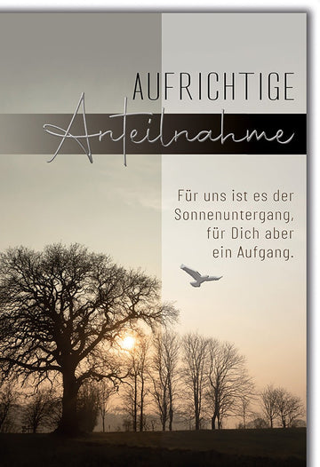 Trauerkarte Natur – Sonnenuntergang mit Baum und fliegender Taube im sanften Licht
