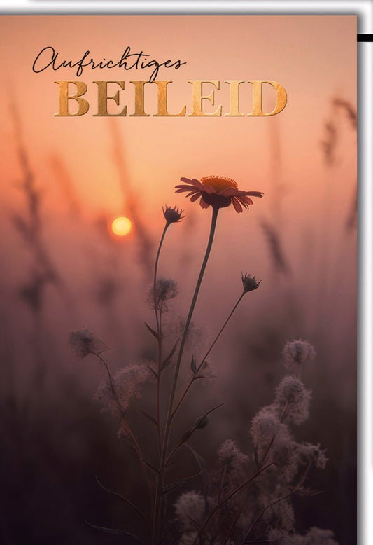 Trauerkarte Natur – Sonnenuntergang mit Wildblume in sanften Pastelltönen