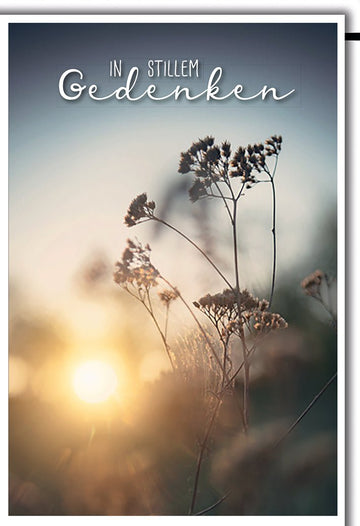 Trauerkarte Natur – Zarte Gräser im Sonnenuntergang mit sanfter Typografie