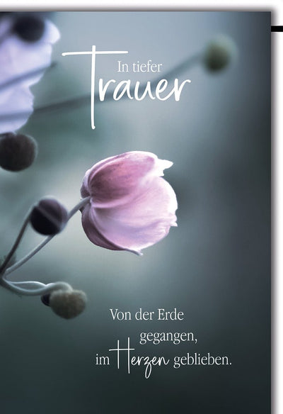 Trauerkarte Zarte Blumen – Pastell-Anemone mit einfühlsamem Spruch in sanften Tönen