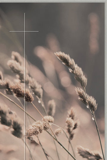 Trauerkarte zur Anteilnahme - Einfühlsame Beileidskarte mit Kreuz und Gräsern, Trost & Hoffnung im Trauerfall