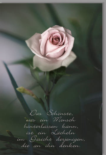 Trauerkarte zur Anteilnahme - Elegante Karte mit Rose und Trostspruch für einfühlsame Beileidsbekundungen