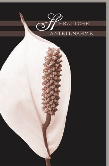 Trauerkarte zur Anteilnahme - Elegante Kondolenzkarte mit Spathiphyllum - Motiv, Weiß, für Beerdigung und Trauerfall, Mitfühlender Trostspender