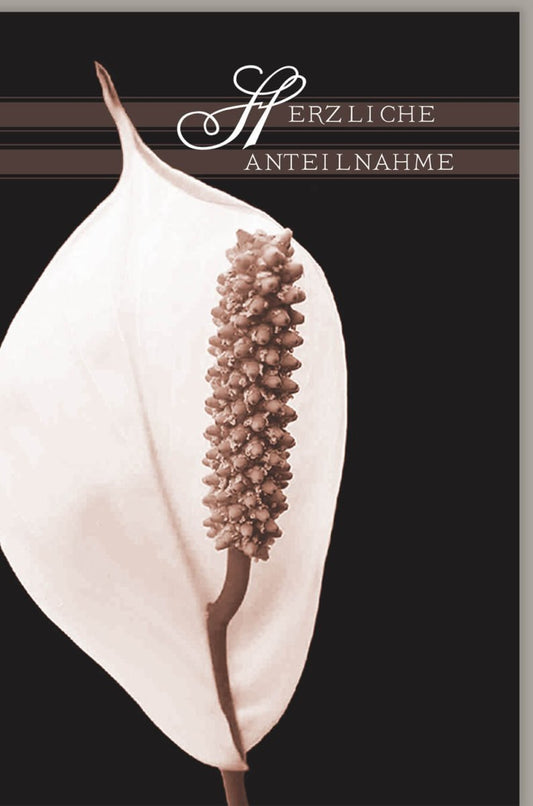 Trauerkarte zur Anteilnahme - Elegante Kondolenzkarte mit Spathiphyllum - Motiv, Weiß, für Beerdigung und Trauerfall, Mitfühlender Trostspender