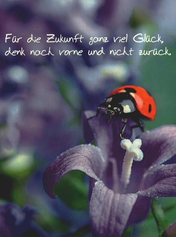 Viel - Glück - Karte Marienkäfer auf Blume mit Spruch Für die Zukunft ganz viel Glück Postkarte Glückwunsch Grußkarte