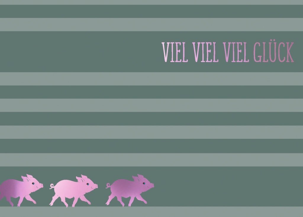 Viel - Glück - Karte "Viel Erfolg" - Glücksbringer Schweinchen, grün - rosa Streifen & Schriftzug