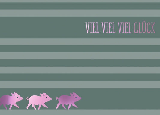 Viel - Glück - Karte "Viel Erfolg" - Glücksbringer Schweinchen, grün - rosa Streifen & Schriftzug