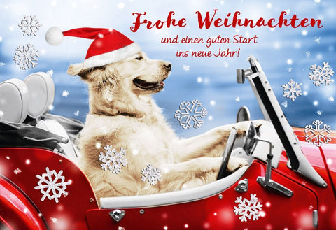 Weihnachtsgrußkarte: Hund im Schlitten, Lustige Grüße & Neujahrswünsche, Tierische Winterfreude