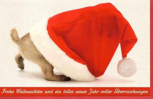 Weihnachtsgrußkarte mit Hund in roter Mütze – Festliche Grüße für die Feiertage