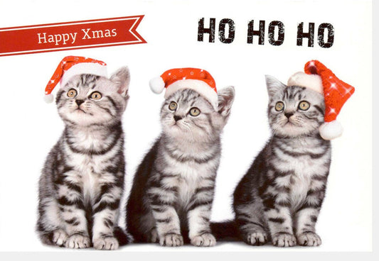 Weihnachtskarte Humorvoll - Katzen mit Santa Mütze, Witziger Festgruß für Frohe Weihnachten, Lustige Kätzchen bringen Spaß