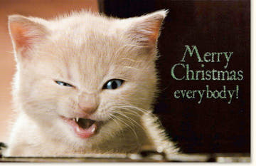 Weihnachtskarte mit Katzenmotiv - Lustige Festtagsgrüße, Winterliche Schneeszenerie, Frohe Weihnachten mit Tierischem Charme