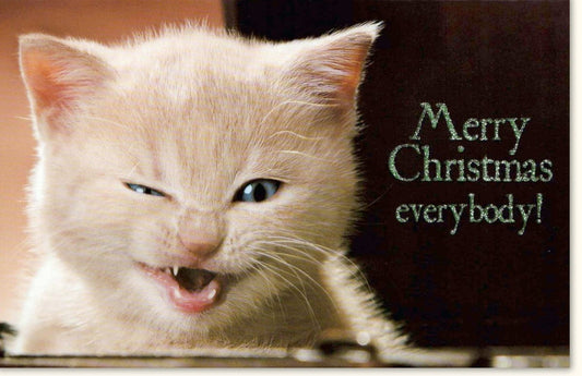 Weihnachtskarte mit Katzenmotiv - Lustige Festtagsgrüße, Winterliche Schneeszenerie, Frohe Weihnachten mit Tierischem Charme