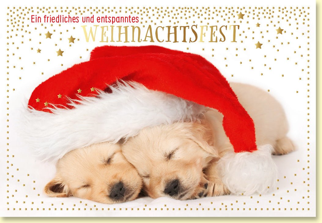 Weihnachtskarte mit schlafenden Welpen in festlichen Weihnachtsmützen