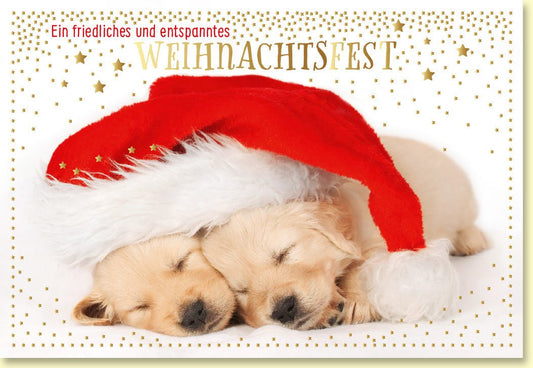 Weihnachtskarte mit schlafenden Welpen in festlichen Weihnachtsmützen