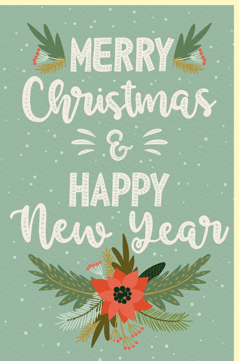 Weihnachtskarte mit Schriftzug Merry Christmas and Happy New Year festliches Design mit Weihnachtsstern und Tannenzweigen winterliche Grußkarte