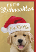 Weihnachtskarte süßer Hund mit Weihnachtsmütze goldener Hintergrund Grußkarte Frohe Weihnachten Doppelkarte für Tierliebhaber