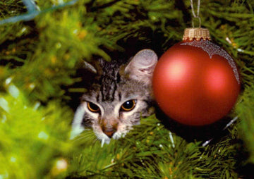Weihnachtskarte Tiere: Katze schmückt den Weihnachtsbaum - Frohe Festtage
