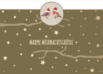 Weihnachtspostkarte: Festliche Rotkehlchen mit Goldfolie und Mützchen für besinnliche Grüße