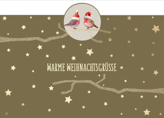 Weihnachtspostkarte: Festliche Rotkehlchen mit Goldfolie und Mützchen für besinnliche Grüße