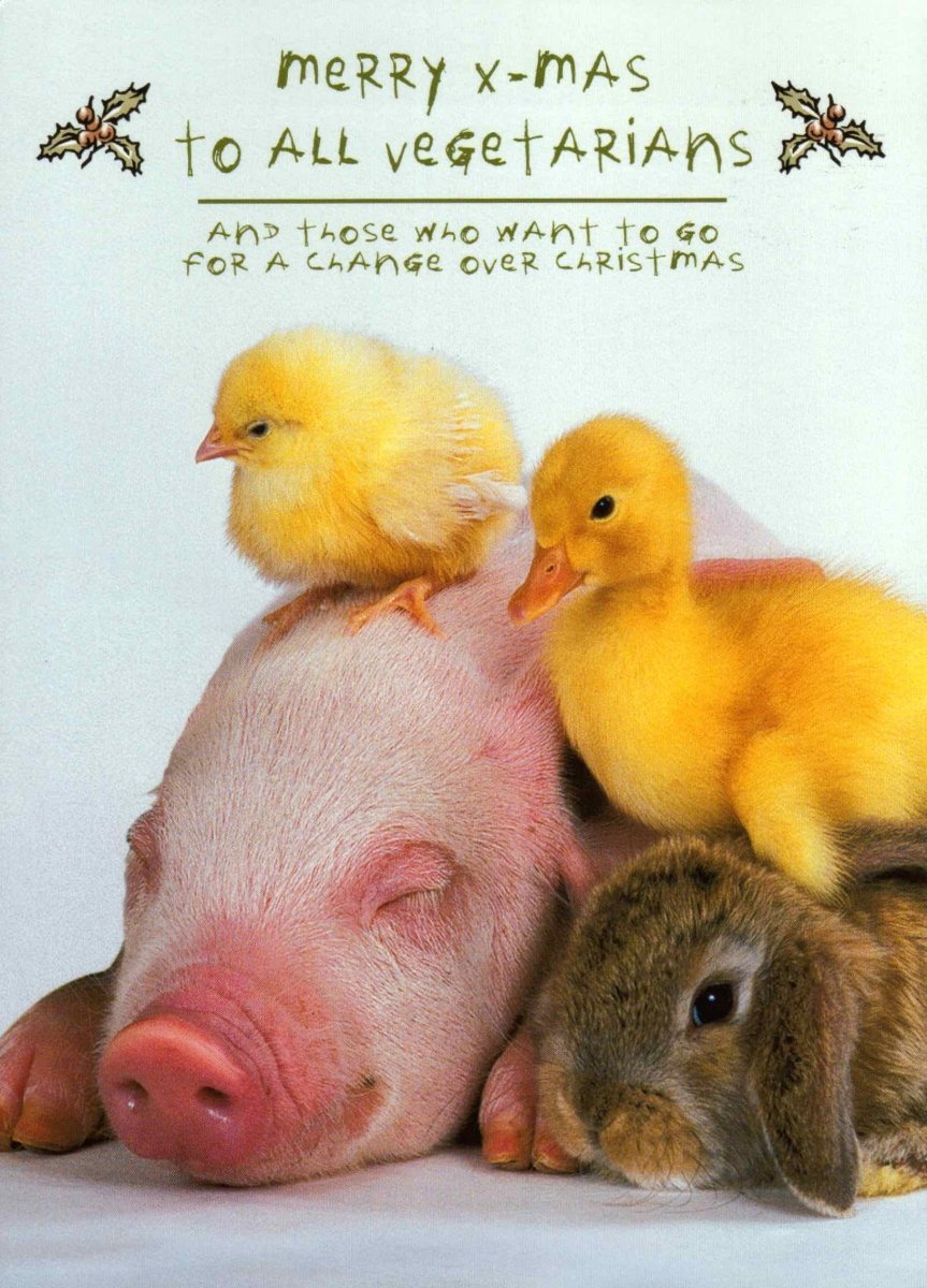 Weihnachtspostkarte: Friedliche Botschaft mit Küken, Schwein & Hase in Grün/Gelb - Liebevolle Festtagsgrüße voller Harmonie