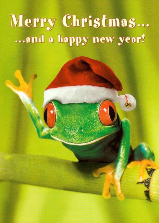 Weihnachtspostkarte lustig: Frosch mit Santa - Mütze für fröhliche Festgrüße