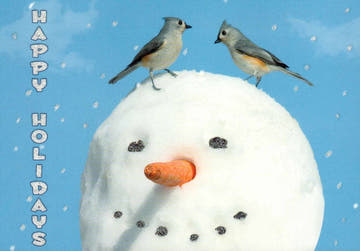 Weihnachtspostkarte mit Vögeln & Schneemann – "Happy Holidays", Winterhimmel, Festliche Grüße, Niedliche Weihnachtskarte