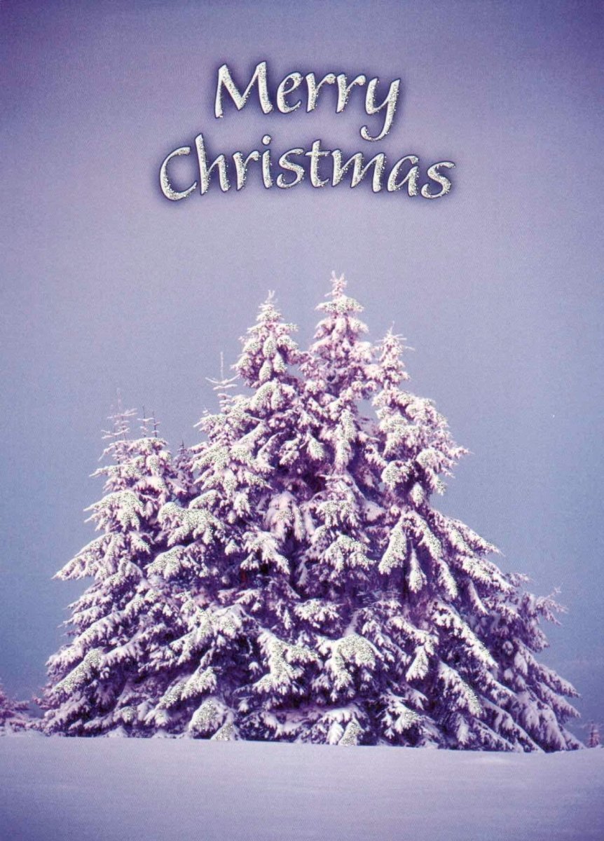 Weihnachtspostkarte Schneelandschaft - Festliche Tannenbäume & Winterzauber für besinnliche Feiertage
