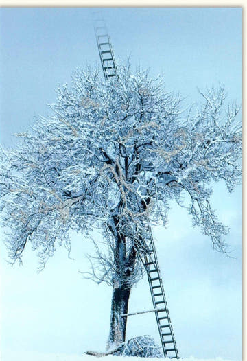 Winterliche Blankokarte - Idyllische Landschaft mit Baum, Schnee & Eisleiter, Perfekt für die kalte Jahreszeit