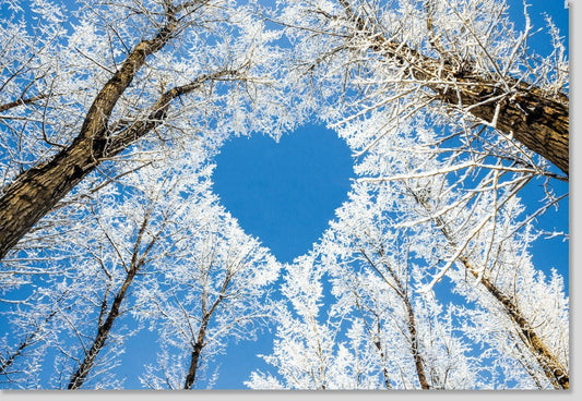 Winterliche Blankokarte mit Naturmotiv - Eis, Herz & Frosthimmel für Naturliebhaber, Ideal für Romantiker