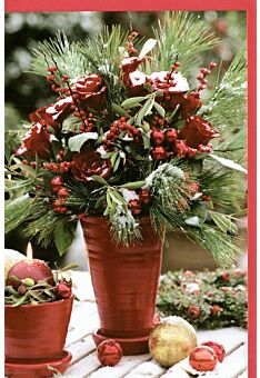 Weihnachtskarte traditionell Weihnachtsblume