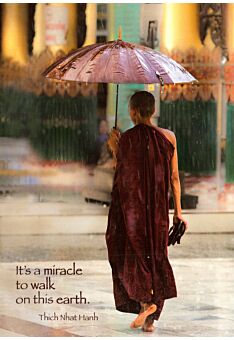 Postkarte englisch Text Burmese Monk, Walking in the Rain