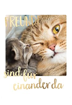 Postkarte Freundschaft Zwei Katzen Freunde sind füreinander da