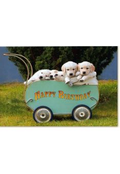 Glückwunschkarte Geburtstag Hundewelpen Bollerwagen weiß
