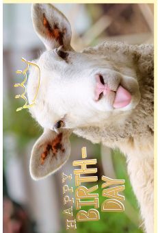Geburtstagskarte witzig mit Goldfolie Schaf