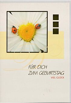 Geburtstagskarte Blume und Marienkäfer