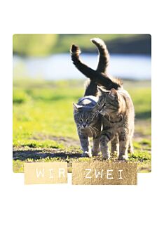 Postkarten Liebe hoch Zwei Katzen Wir zwei