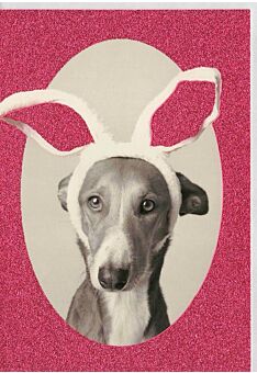 Grußkarte Glimmerlack Hund lustig