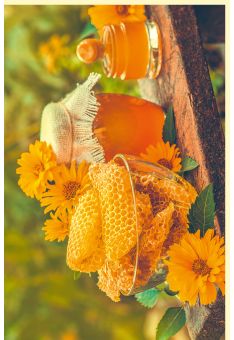 Fotogrußkarte Sommer auf dem Land Honigwaben, Honig, Blüten