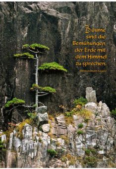 Postkarte Sprüche Bäume im Fels