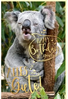 Geburtstagskarte witzig mit Goldfolie Koala