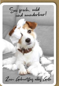 Geburtstagskarte Hund Spruch sei Frech