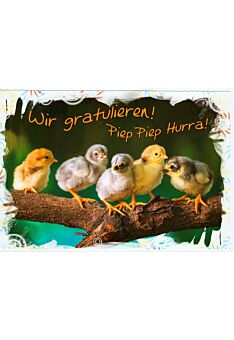 Geburtstagskarte Wir gratulieren Vögel