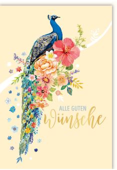 Grußkarte Illustration Blauer Pfau Alle Guten Wünsche