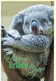 Geburtstagskarte Schlafender Koala Happy Birthday