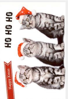 Weihnachtskarte lustig Happy Xmas Ho Ho Ho