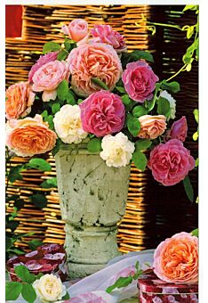 Grußkarte Vase Rosen ohne Text Sommer