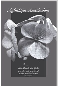 Trauerkarte Kondolenz schwarz weiß Aufrichtige Anteilnahme